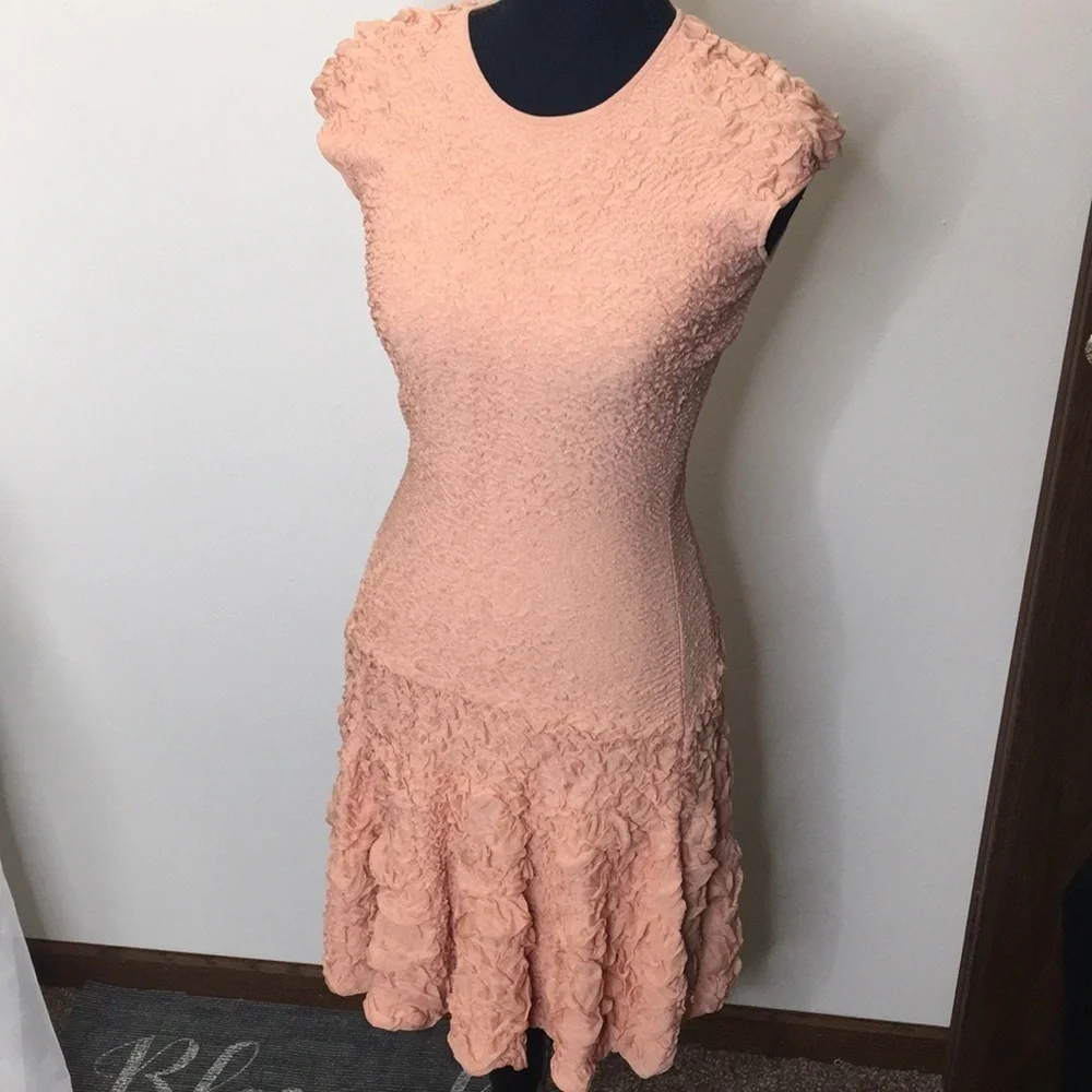 Alexander McQueen blush peach textural pucker knit flounced dress size s… - Picture 2 of 12